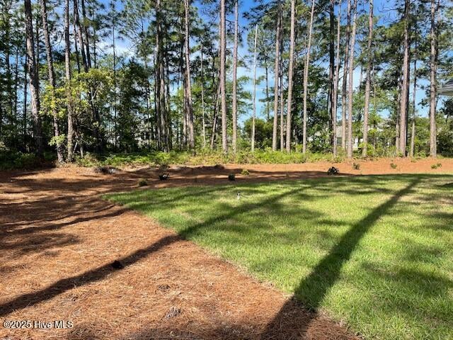 189 Boundaryline Dr NW, Calabash, NC 28467 - view of green lawn