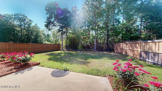 view of yard featuring a patio and a fenced backyard
