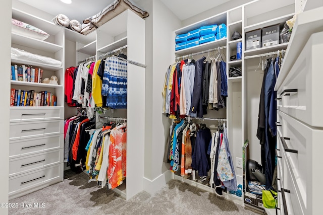 spacious closet featuring carpet