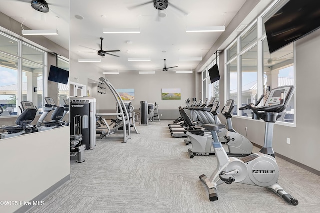 exercise room with carpet floors, ceiling fan, and baseboards