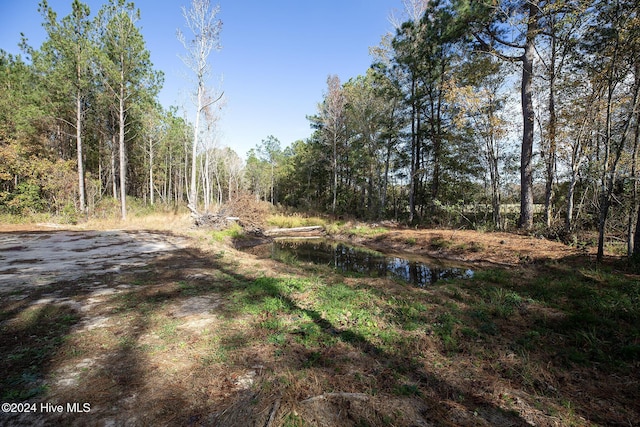 view of landscape featuring a forest view