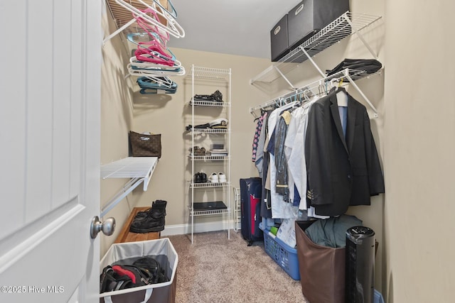 walk in closet with carpet