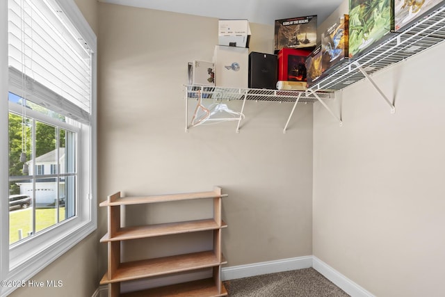spacious closet featuring carpet floors