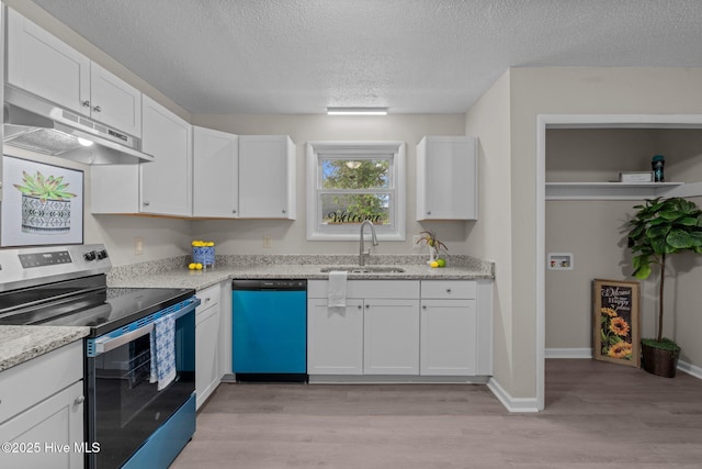 kitchen with a sink, light wood finished floors, dishwasher, under cabinet range hood, and stainless steel electric stove