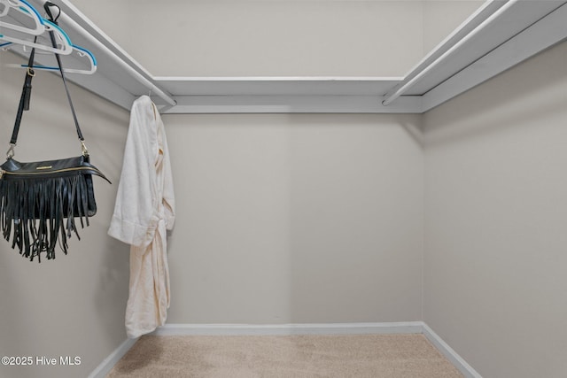 walk in closet featuring carpet flooring