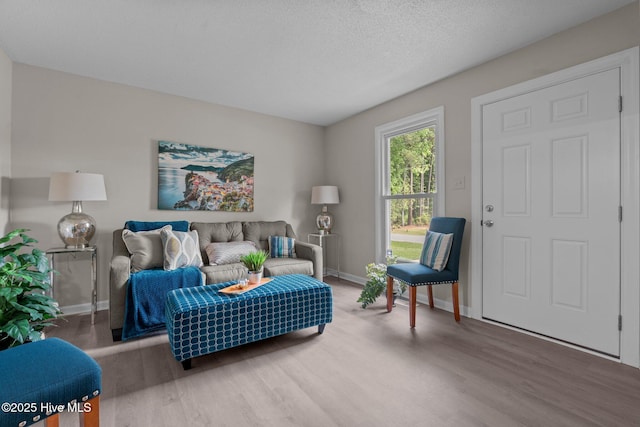 living room featuring baseboards and wood finished floors