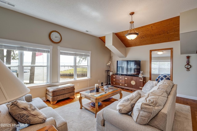 966 W Island View Rd, Bath, NC 27808 - living room with visible vents, baseboards, wood finished floors, and a wealth of natural light