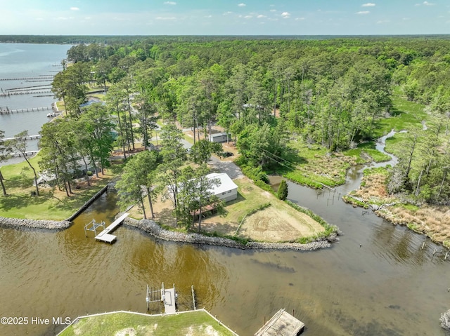 966 W Island View Rd, Bath, NC 27808 - bird's eye view featuring a water view and a forest view