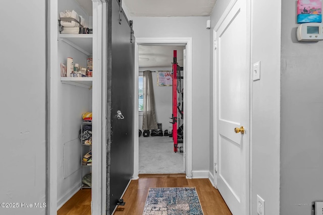 hallway featuring a barn door and wood finished floors