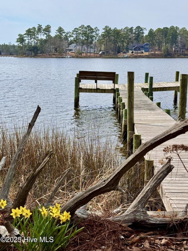 view of dock featuring a water view