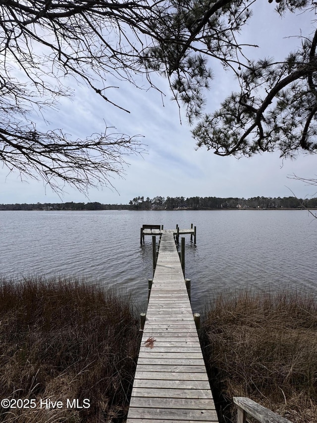 view of dock featuring a water view