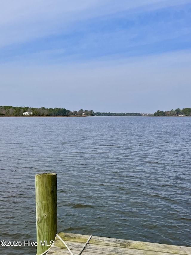 property view of water