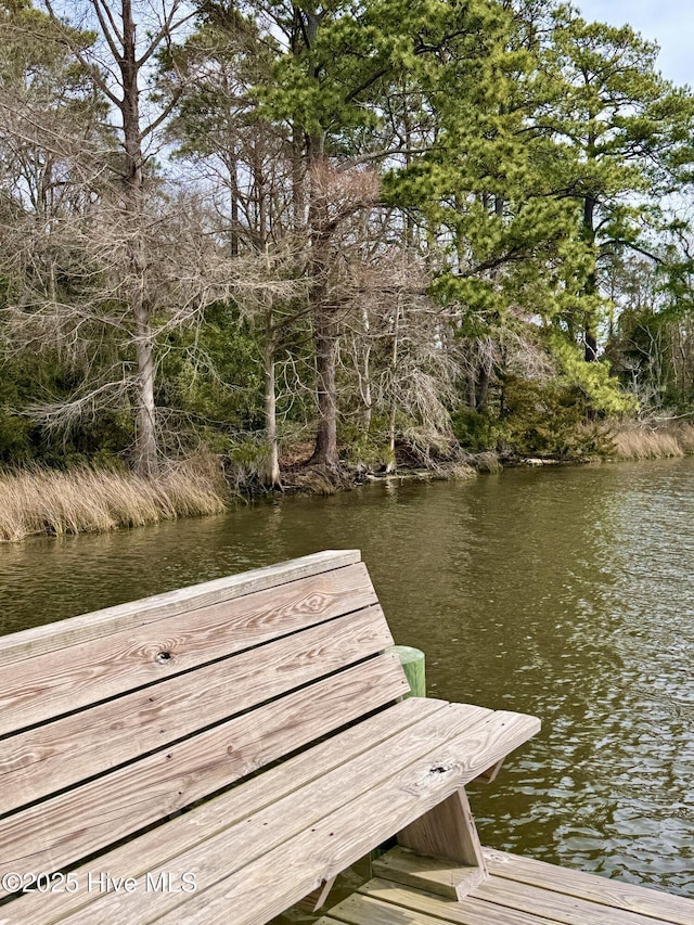 view of dock with a water view