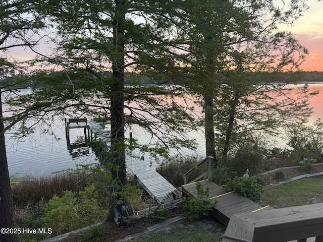 dock area with a water view