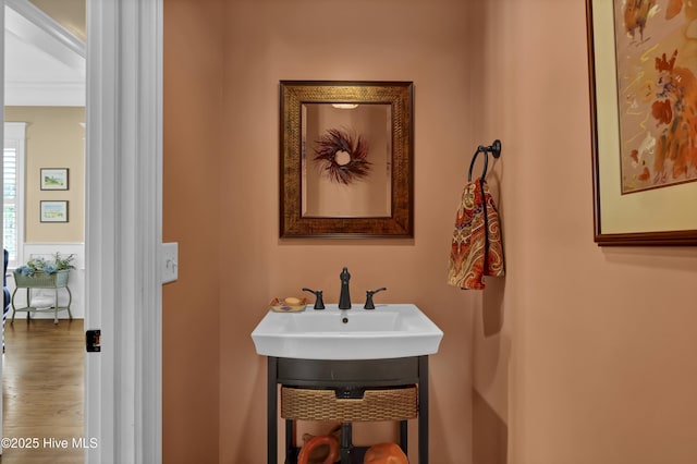 bathroom with a sink and wood finished floors