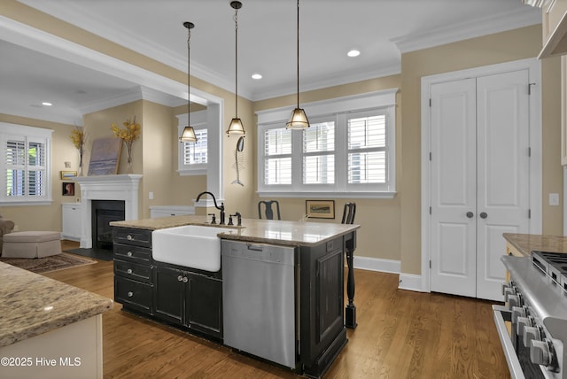kitchen featuring a fireplace, a sink, dark wood-style floors, dark cabinets, and stainless steel appliances