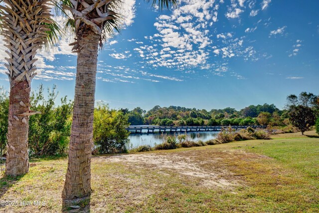 222 Rouen Ct, Wilmington, NC 28412 - water view