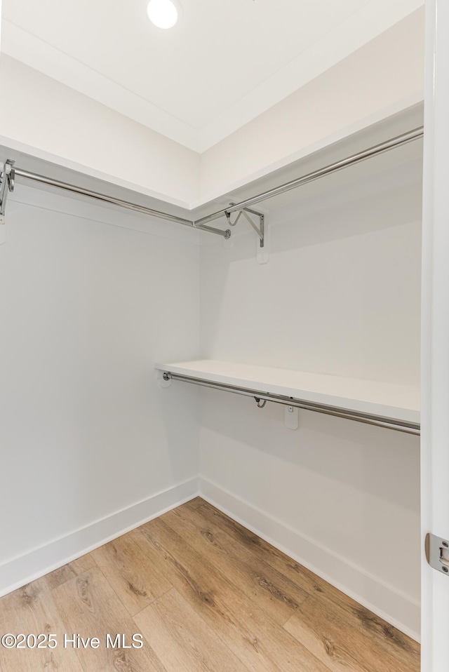 spacious closet featuring light wood-style flooring