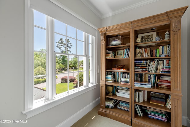 sitting room with crown molding and baseboards