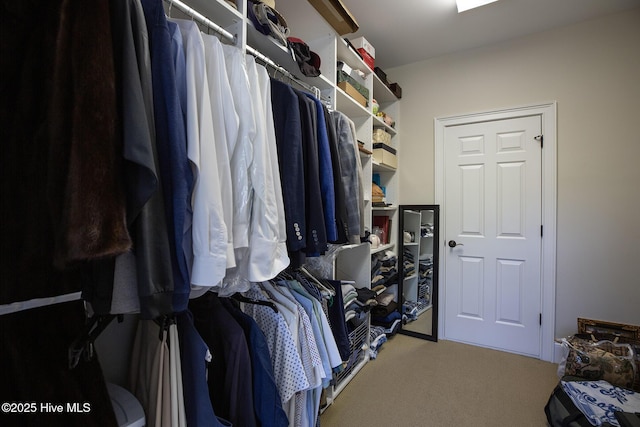 spacious closet featuring carpet flooring