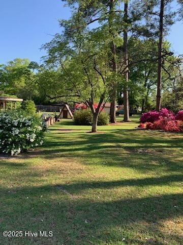 view of home's community featuring a yard