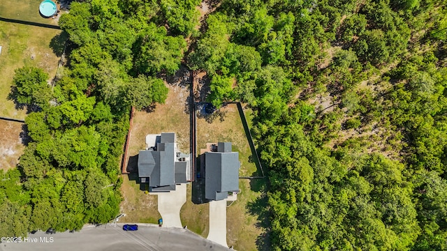 bird's eye view