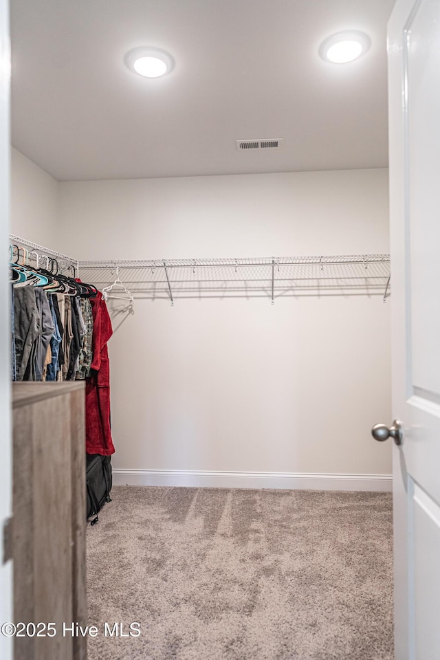 spacious closet with carpet flooring and visible vents