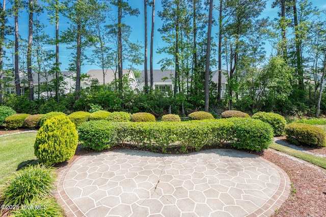 1071 Ridge Walk Way NW, Calabash, NC 28467 - view of community