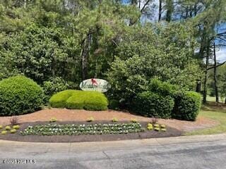 1071 Ridge Walk Way NW, Calabash, NC 28467 - view of community / neighborhood sign