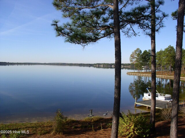 95 Glen Cove Ln, West End, NC 27376 - water view with a boat dock