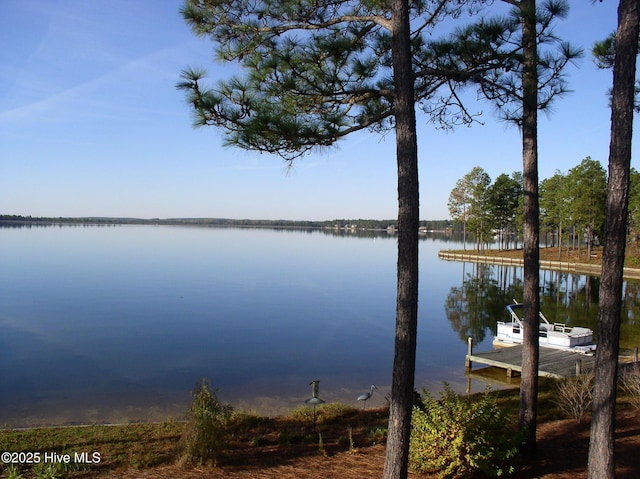 95 Glen Cove Ln, West End, NC 27376 - dock area with a water view