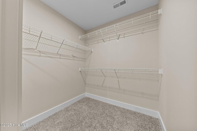44 S Shamrock Dr, Foxfire Village, NC 27281 - spacious closet featuring carpet flooring