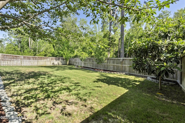 view of yard featuring a fenced backyard