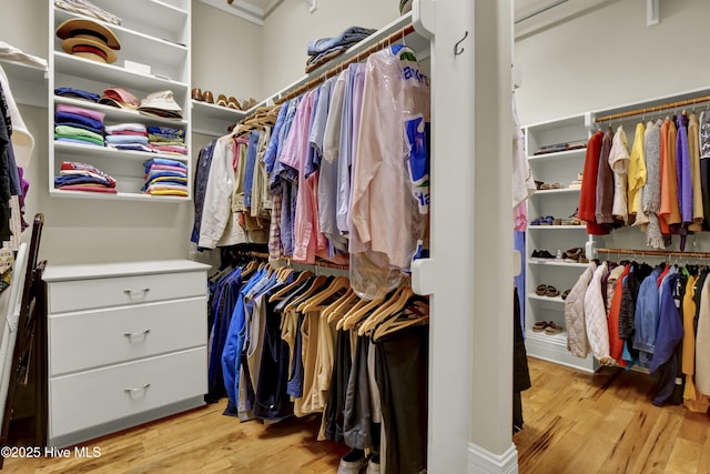 2220 Bel Arbor Pl, Wilmington, NC 28403 - spacious closet with light wood-style flooring