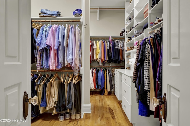 2220 Bel Arbor Pl, Wilmington, NC 28403 - spacious closet featuring light wood-style flooring