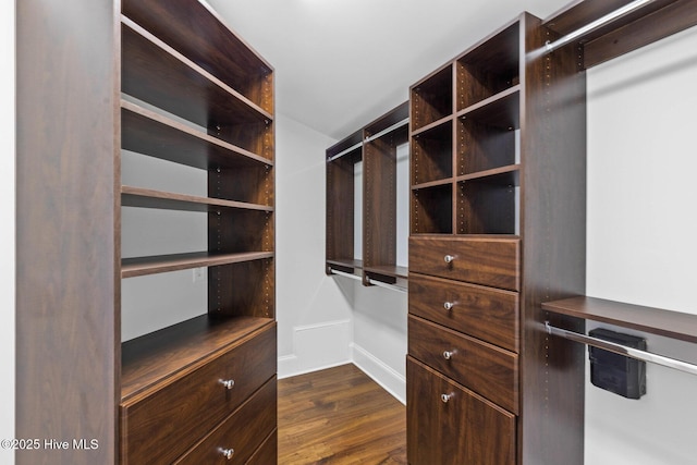 805 S Lumina Ave, Wrightsville Beach, NC 28480 - walk in closet with dark wood-type flooring