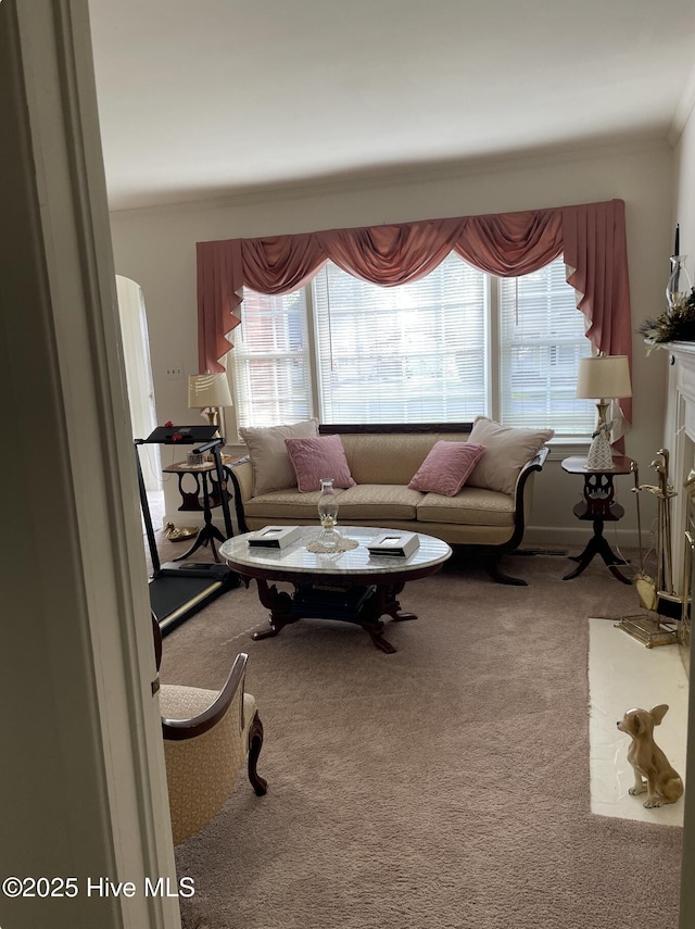 612 Blaney St, Clinton, NC 28328 - carpeted living area featuring plenty of natural light and ornamental molding