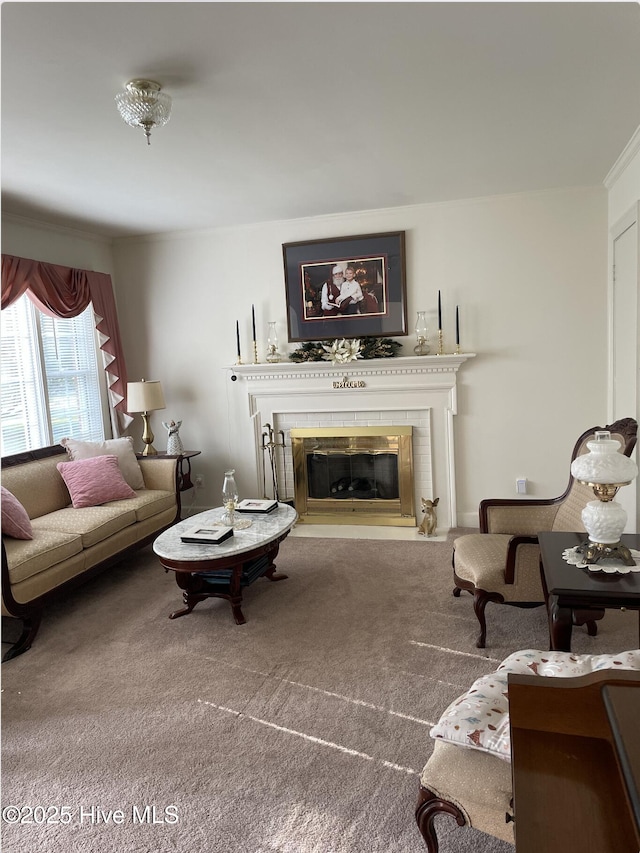 612 Blaney St, Clinton, NC 28328 - living area featuring carpet floors and a fireplace with flush hearth