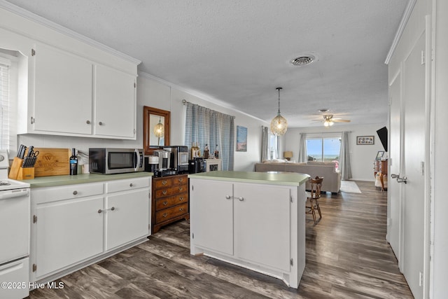 415 W Boardwalk Blvd, Atlantic Beach, NC 28512 - kitchen featuring stainless steel microwave, white range with electric cooktop, a textured ceiling, dark wood-type flooring, and white cabinets