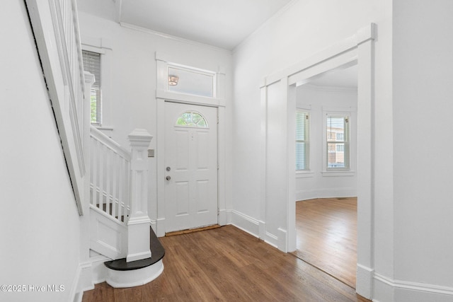foyer featuring ornamental molding, a healthy amount of sunlight, and wood finished floors