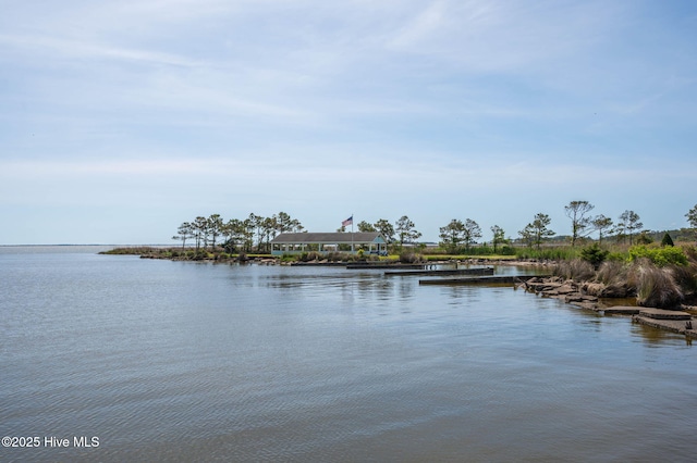 property view of water