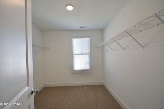 218 Country Club Dr SW, Shallotte, NC 28470 - spacious closet with carpet floors and visible vents