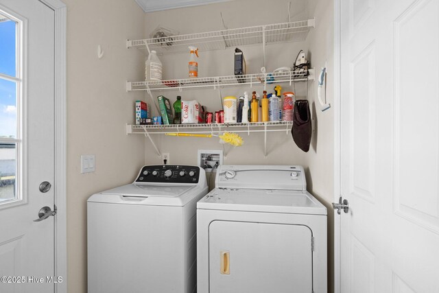 clothes washing area featuring independent washer and dryer
