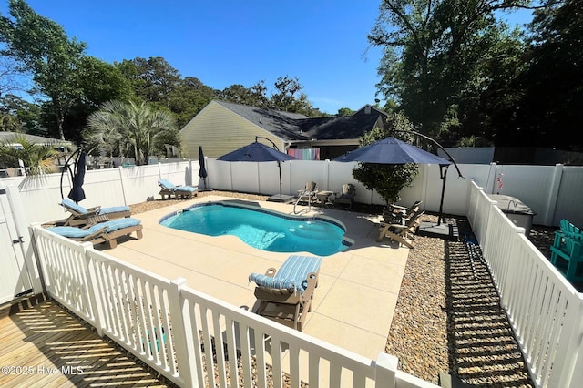 view of swimming pool with a patio, a fenced backyard, and a fenced in pool