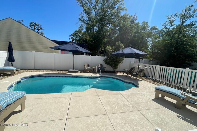 view of pool featuring a fenced in pool, a fenced backyard, and a patio area
