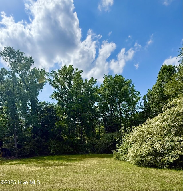 1304 Michael Scott Dr, Rocky Mount, NC 27803
