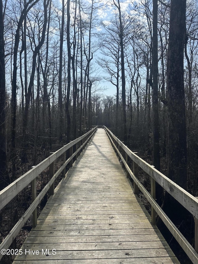 dock area featuring a view of trees
