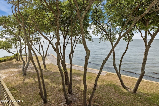 water view
