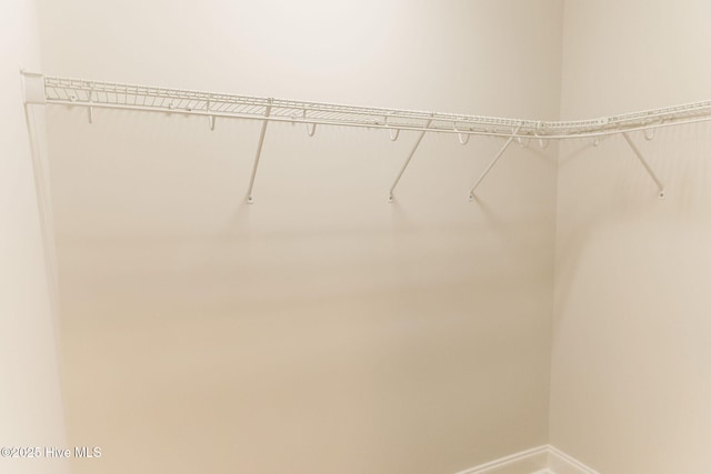 135 Live Oak Dr, Leland, NC 28451 - view of walk in closet