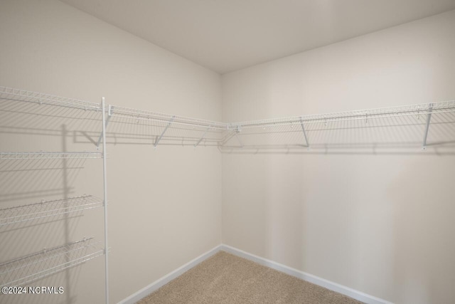 spacious closet with carpet